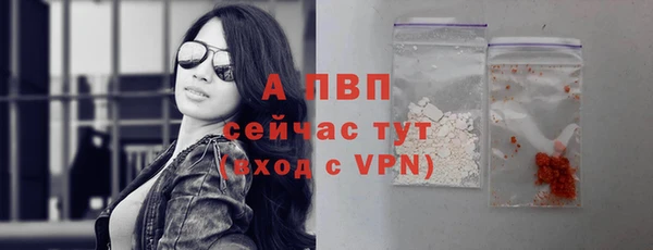 apvp Алексин