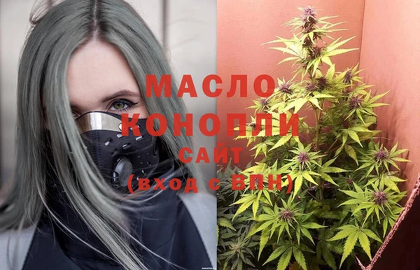 дживик Абинск